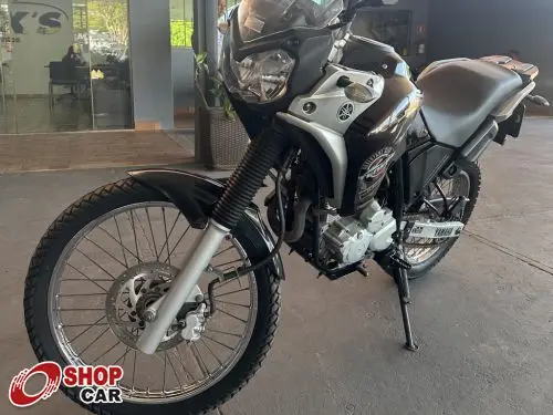 Carro Yamaha XTZ 250 Ténéré 2019 Blueflex