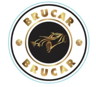 BRUCAR VEICULOS