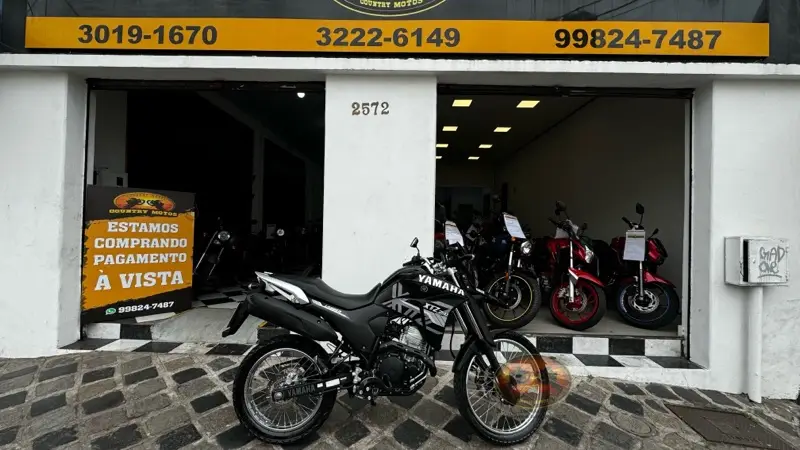 Yamaha Blueflex/ABS