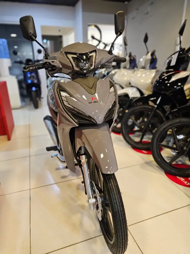 Moto Shineray Rio 125 2024 124 cc