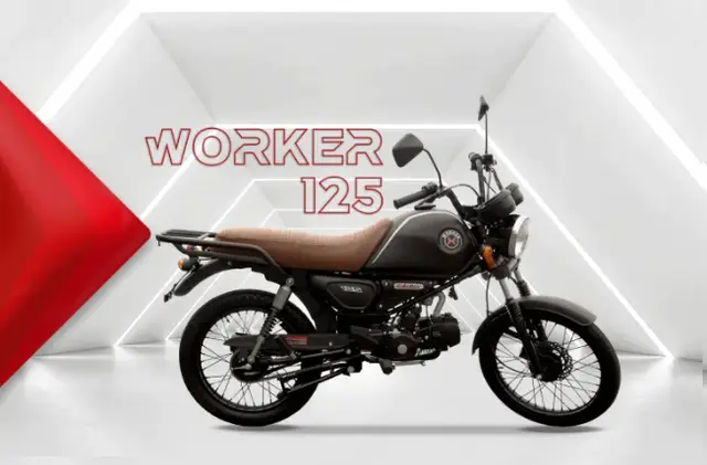 Carro Shineray Worker 125  2024 124 cc