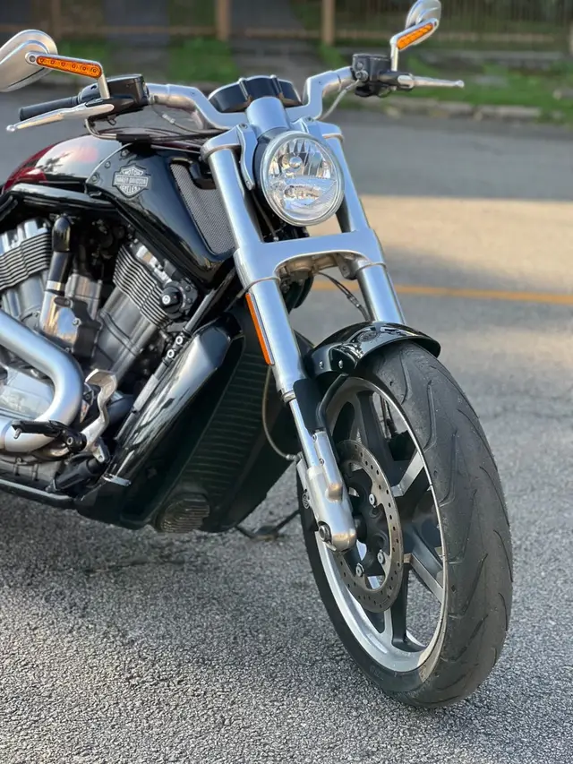 Carro Harley-Davidson V Rod Custom 2015 V Rod Muscle