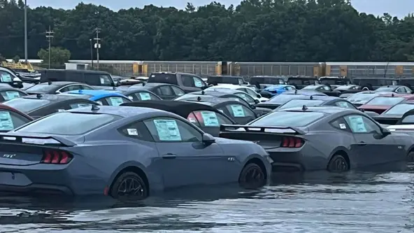 Entre os veículos reutilizados estão o Ford Mustang e picapes como a Ford F-150