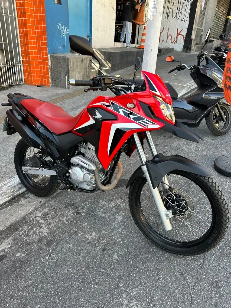 Honda XRE 300 (ABS) (Flex)