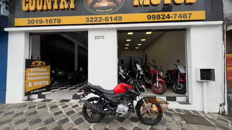 Yamaha Ybr 125 Factor ED (Flex)