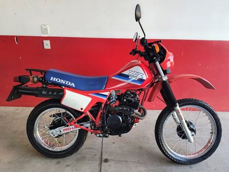 XLX250 R