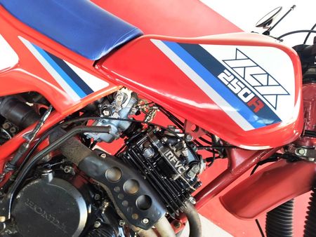 XLX250 R
