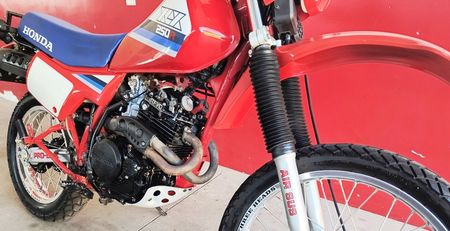 XLX250 R