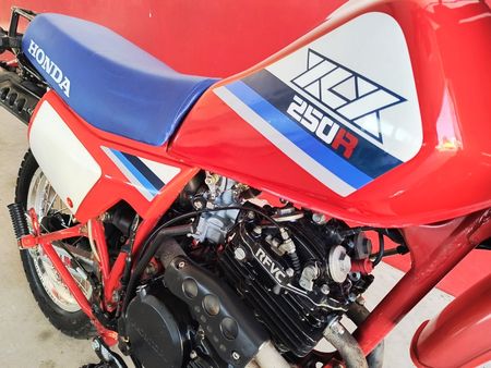 XLX250 R