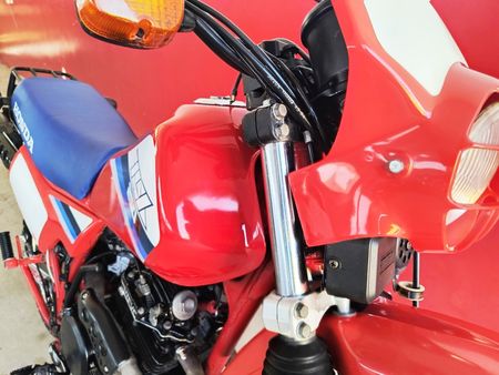 XLX250 R