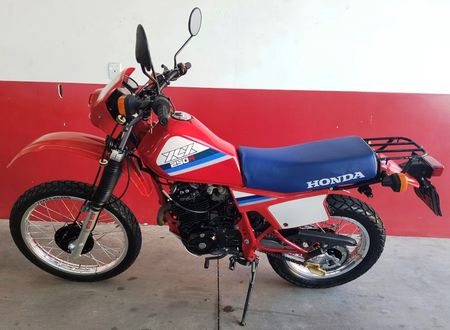 XLX250 R