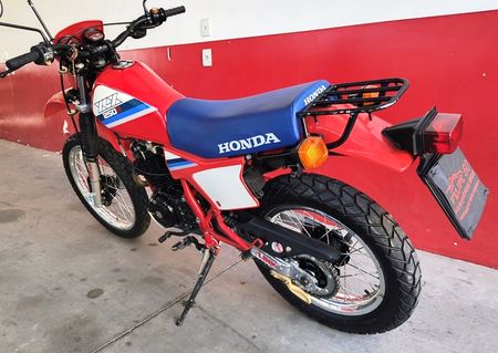 XLX250 R