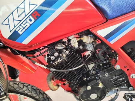 XLX250 R