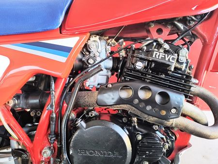 XLX250 R