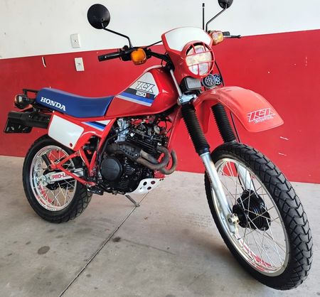 XLX250 R