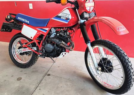 XLX250 R