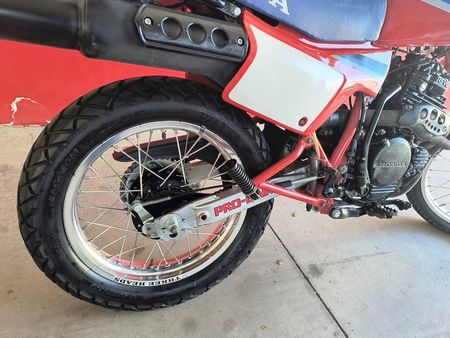 XLX250 R