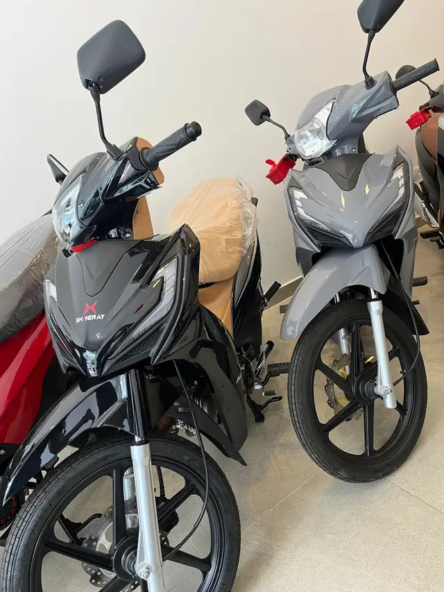 Moto Shineray Rio 125 2024 124 cc