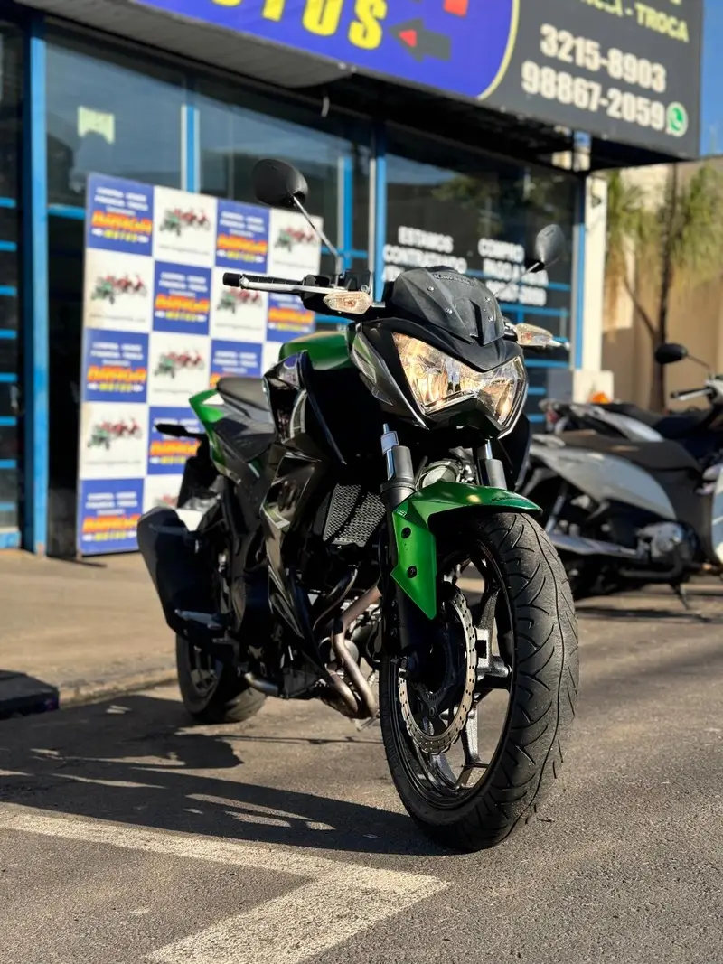 Kawasaki Z 300 (ABS)
