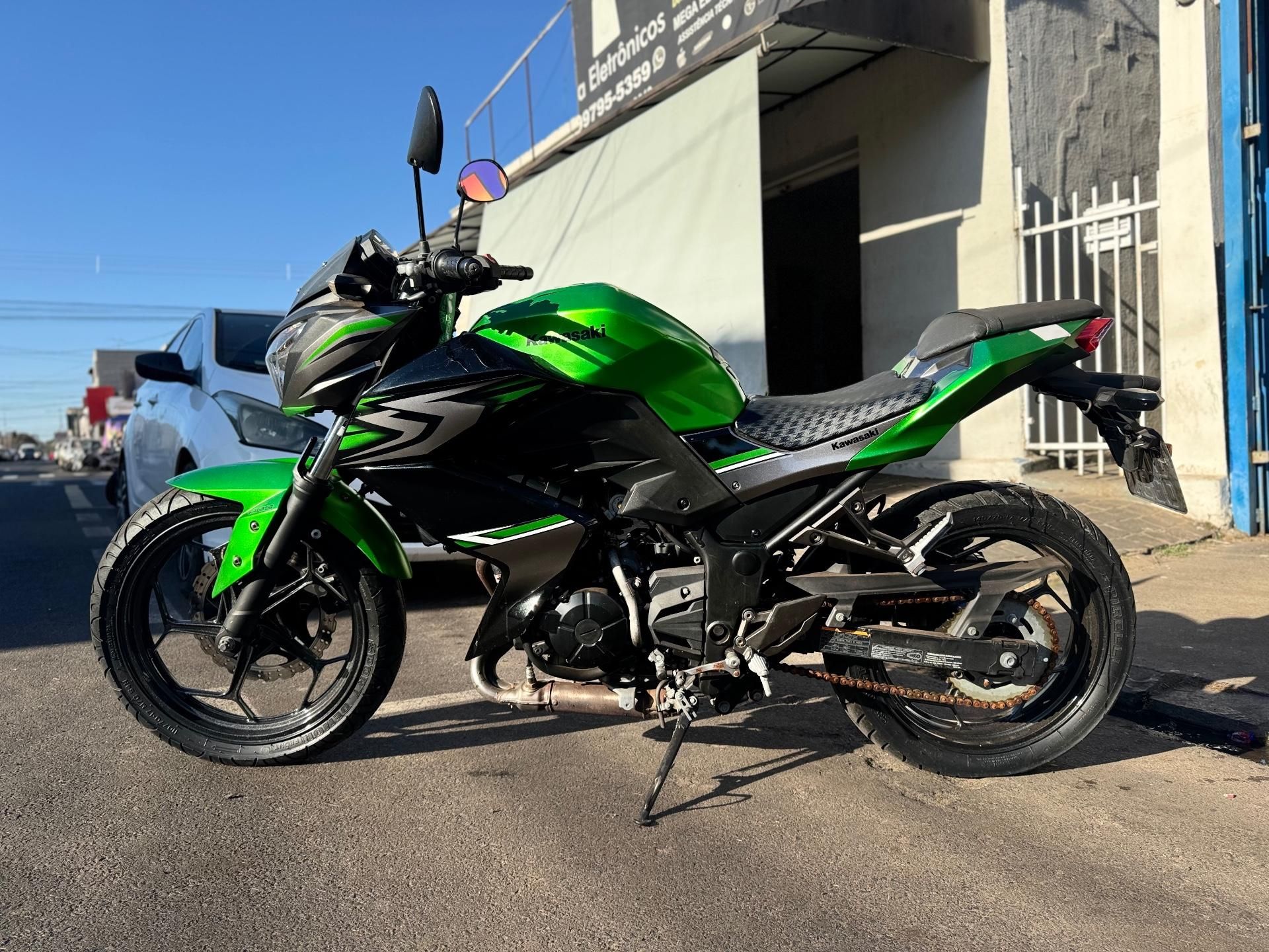 Kawasaki Z 300