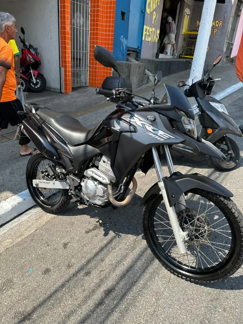 Honda XRE 300 (ABS) (Flex)