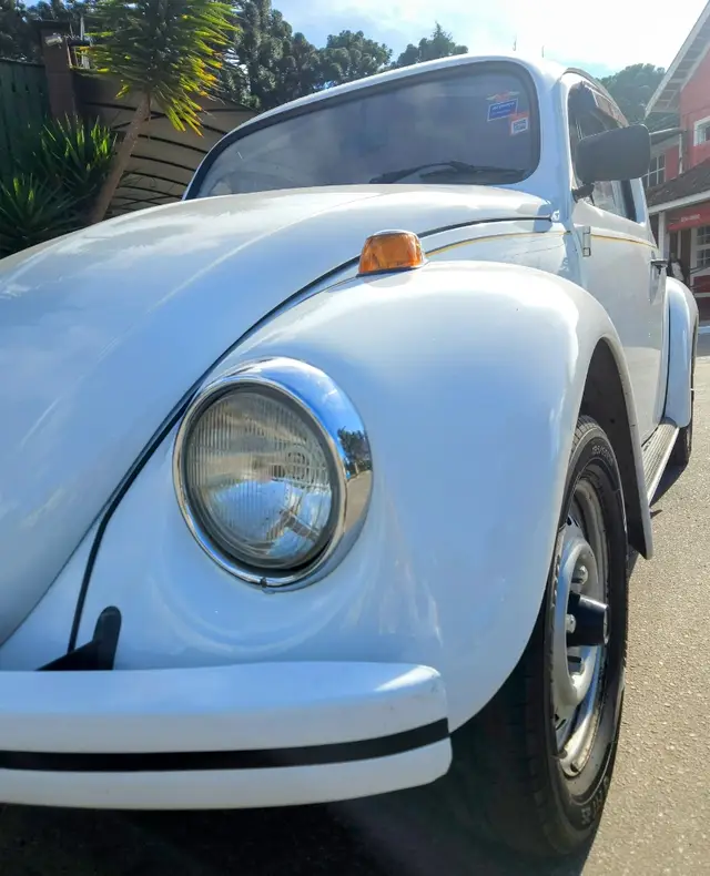 Carro Volkswagen Fusca 1995 1600