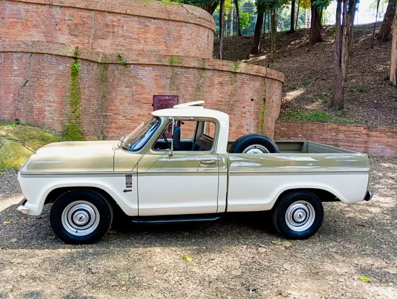 Chevrolet D10 Pick Up 3.9
