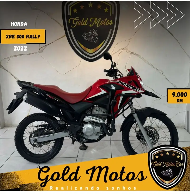 Honda XRE 300 Rally (Flex)