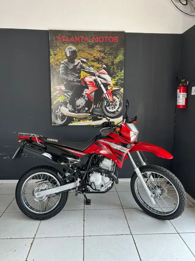 Carro Yamaha XTZ 250 Lander 2014 Blueflex