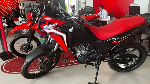 Carro Honda XRE 300 2024 Rally