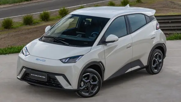 Marca dominou o ranking de vendas em seu país de origem; mercado chinês supera a marca de 1 milhão de modelos eletrificados em 2024