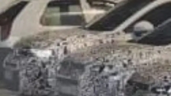 Com nova linguagem visual da montadora alemã, o SUV também deve estrear novo conjunto mecânico