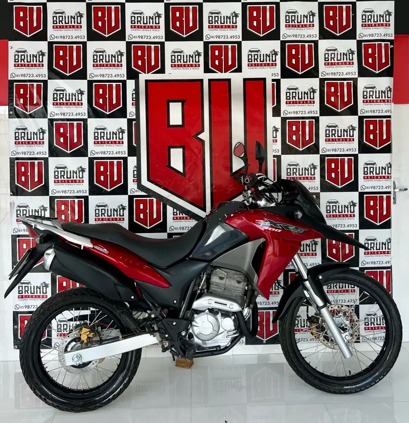 Honda XRE 300 (ABS) (Flex)
