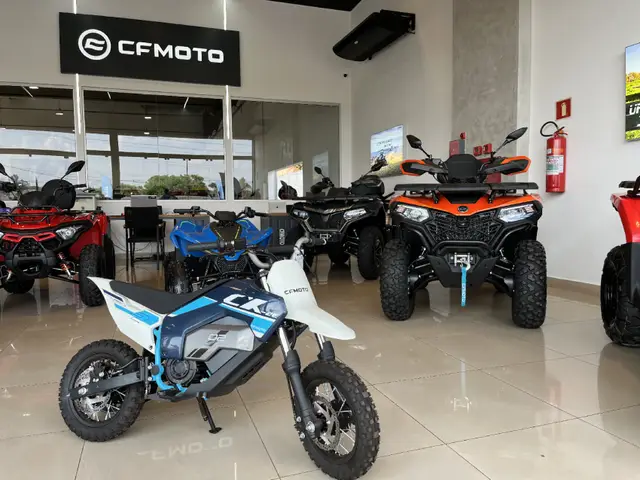Carro CF Motos CFORCE 2024 450L