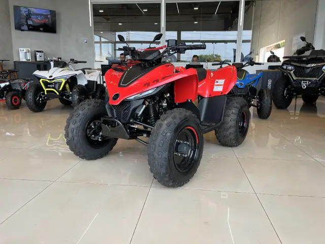 Carro CF Motos CFORCE 2024 450L