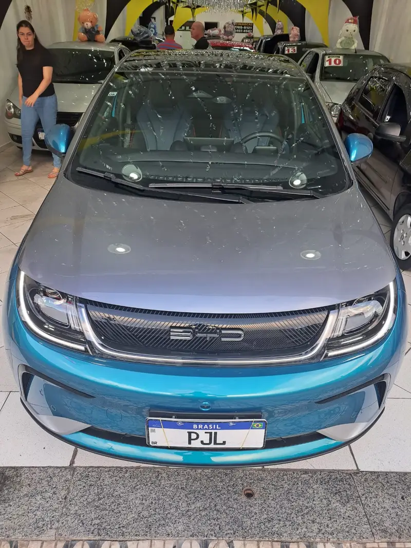 BYD Dolphin EV