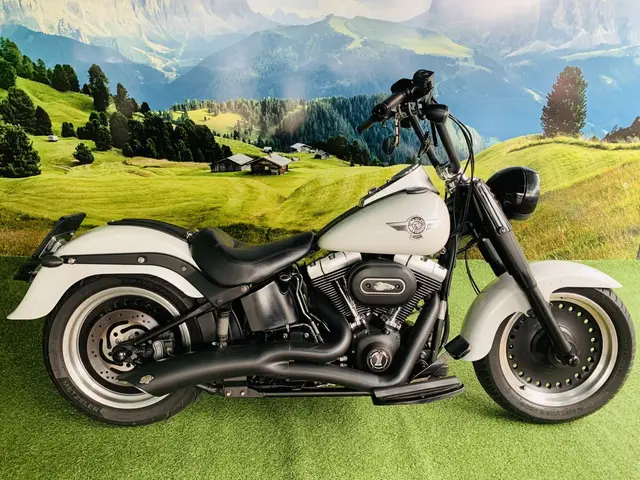 Carro Harley-Davidson Fat Boy FLSTF 2011 FAT BOY LOW/ SPECIAL FLSTFB