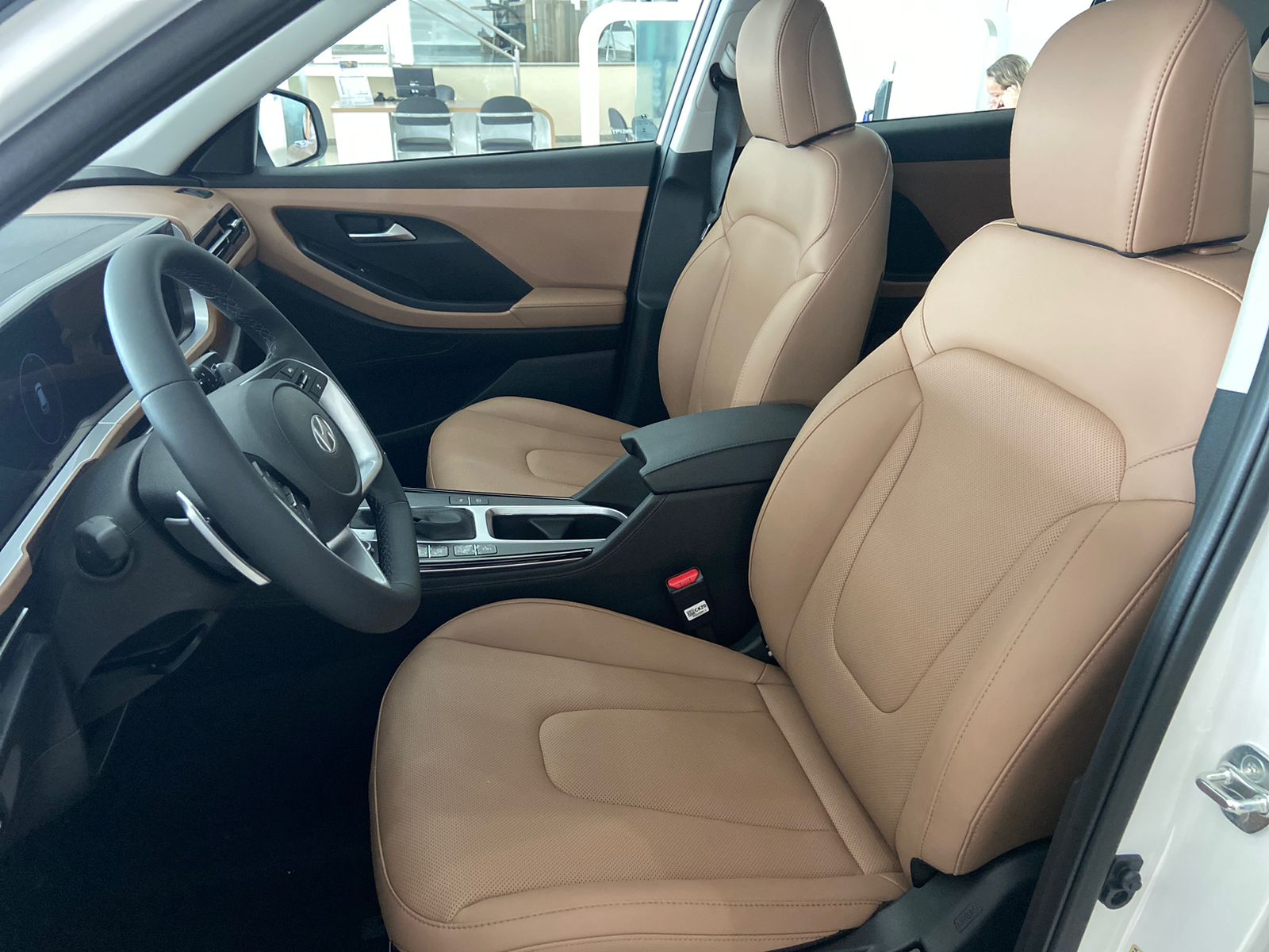 Hyundai-Creta-Platinum 1.0 Turbo (Aut) (Flex)