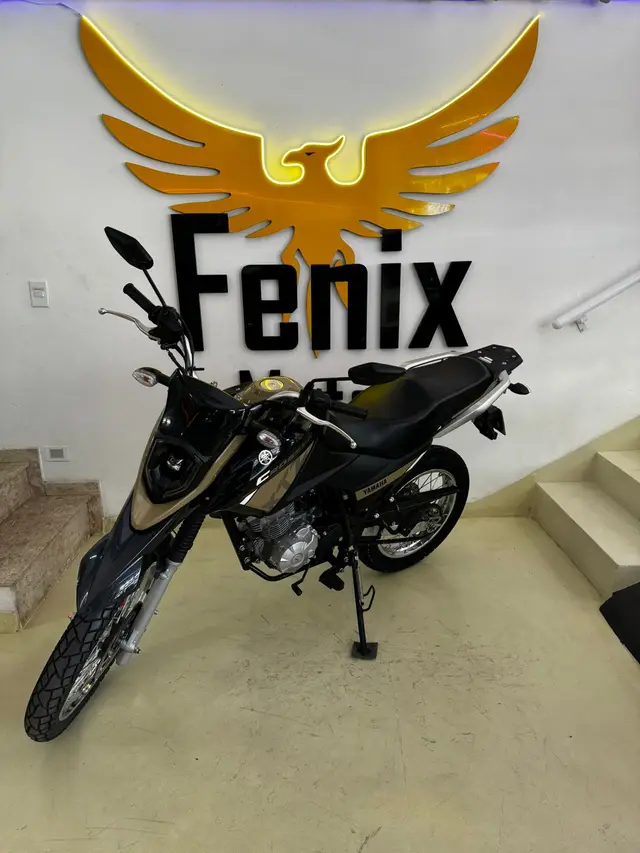Carro Yamaha XTZ 150 Crosser 2023 Z