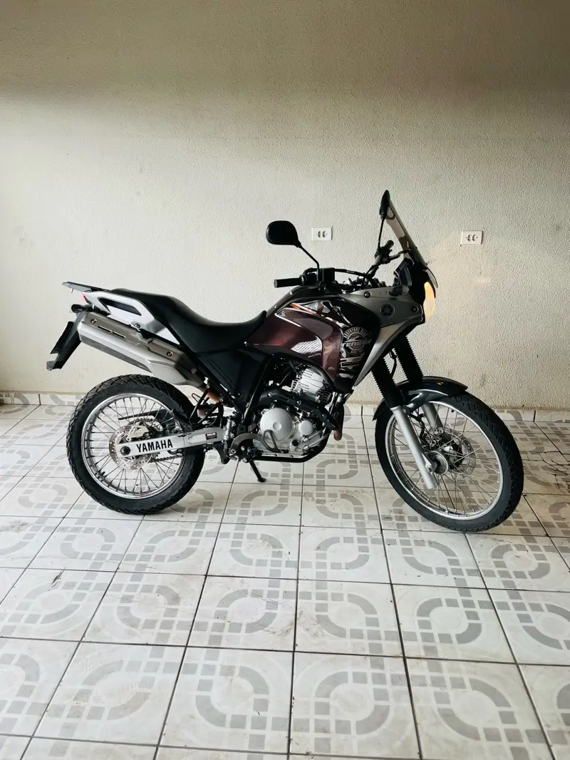 Yamaha XTZ 250 Ténéré Blueflex