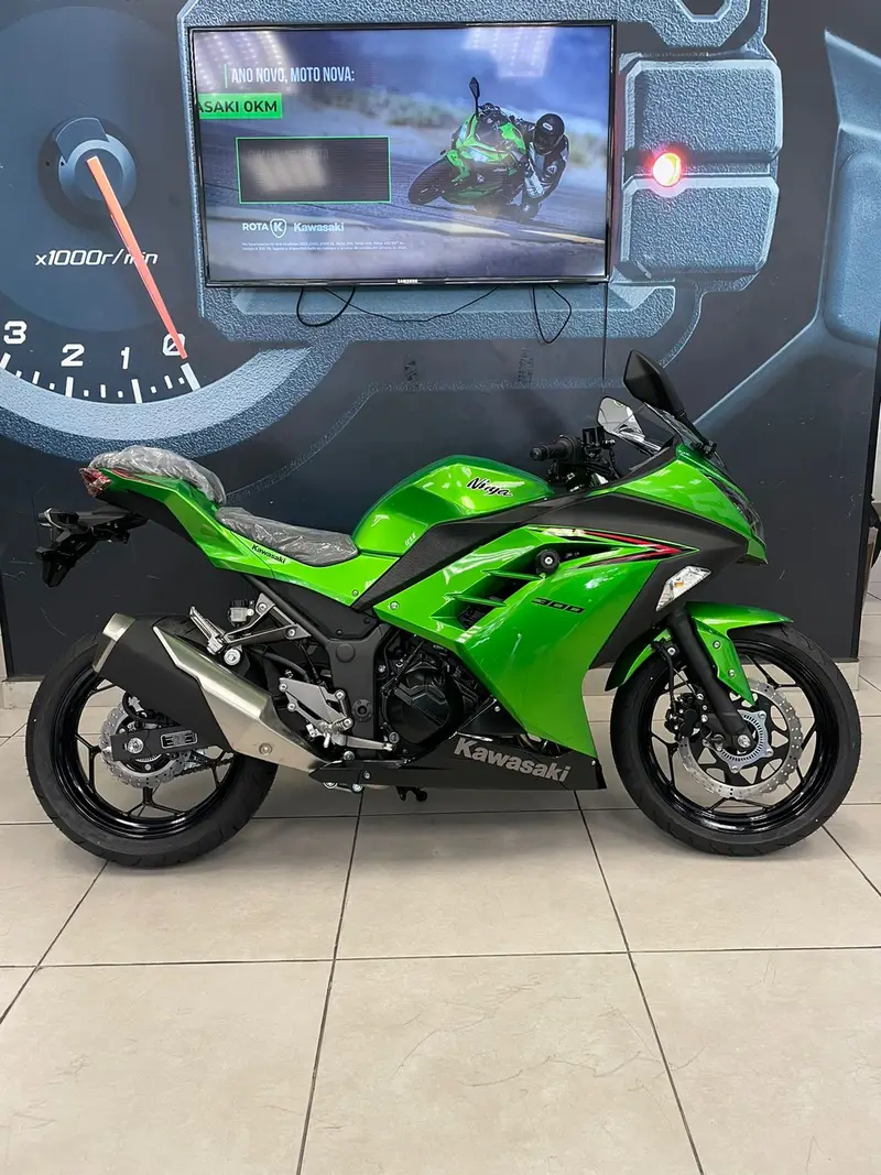 Kawasaki Ninja 300