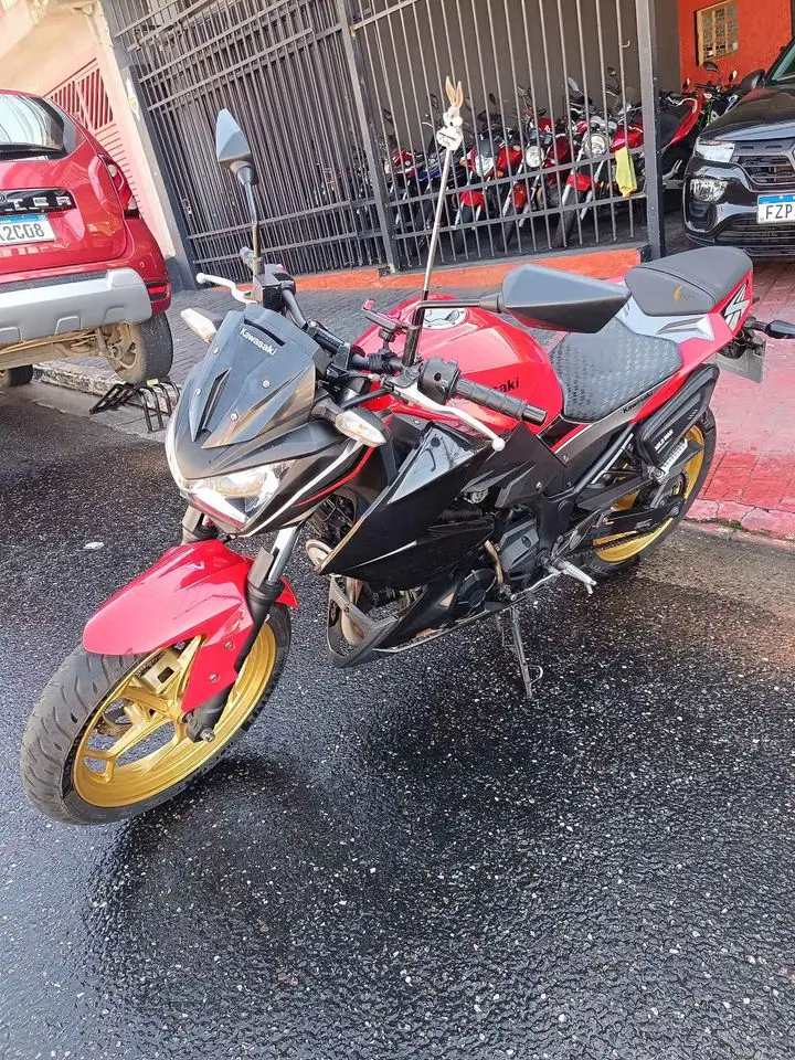 Kawasaki Z 300 (ABS)
