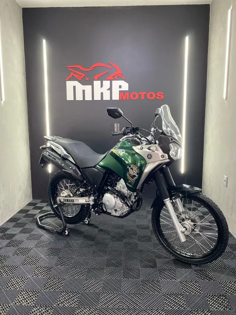 Yamaha XTZ 250 Ténéré Blueflex