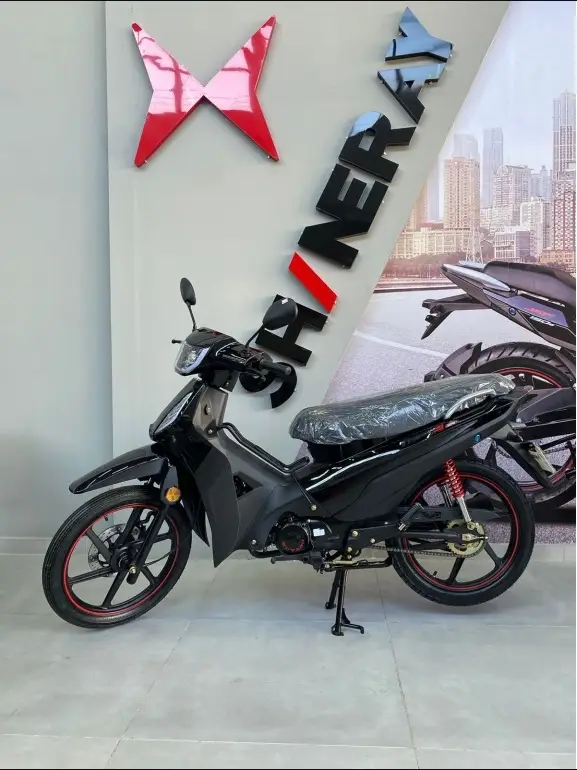 Carro Shineray Phoenix S 2025 EFI