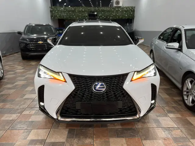 Carro Lexus UX 250H 2019 2.0 VVT-I HYBRID F-SPORT CVT
