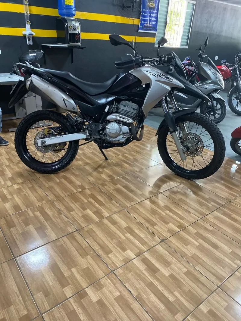 Honda XRE 300 (ABS) (Flex)