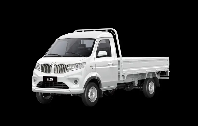 Shineray T30