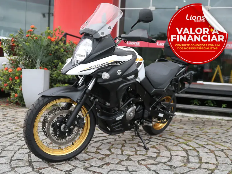 Suzuki DL 1050 650 XT