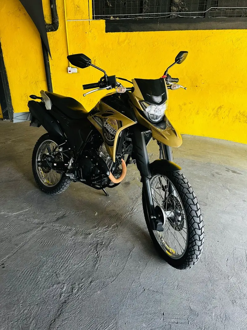 Yamaha XTZ 250 Lander Blueflex/ABS