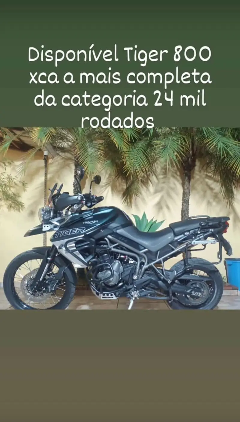 Triumph Tiger 800 800 XCA